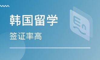 石家莊自費留學韓國 如何選擇可靠的中介服務